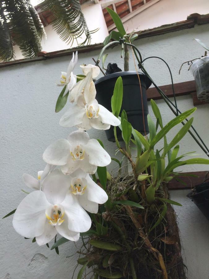 Pousada Acai Araquari Buitenkant foto